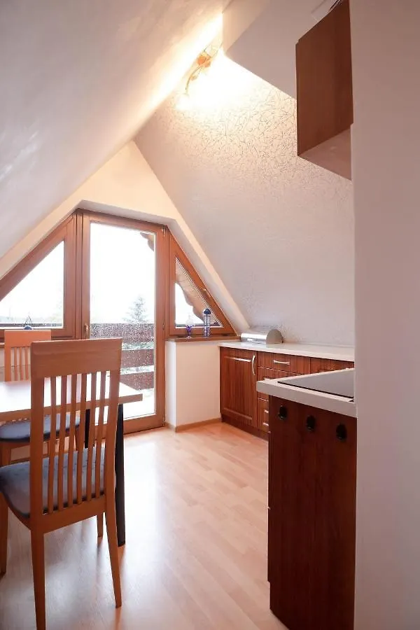 Golden Apartments Zakopane- One Bedroom Apartment - Mountain View&B14